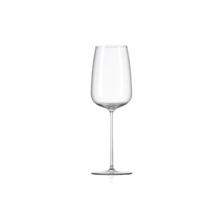 Set glasses for wine 2 PC 480 ml Rona Orbital 7252/UM 0 480