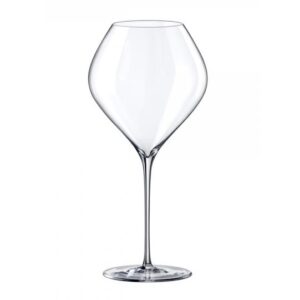 Set glasses for wine 6 PC 860 ml Rona Swan 6650 0 860