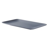 Блюдо IPEC DINERA серый 30х20 см (FRD-ING/СТ)