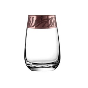 Set glasses for water 6 PC Safari Goose Crystal ERV318-2069
