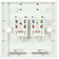 Frame from modules MOLEX FW 2xRJ45 568B, UTP, PowerCat 5e,