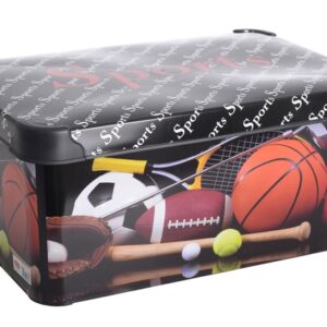 Контейнер VIOLET HOUSE DECOR SPORT 0647 DECOR SPORT с/кр. 10 л