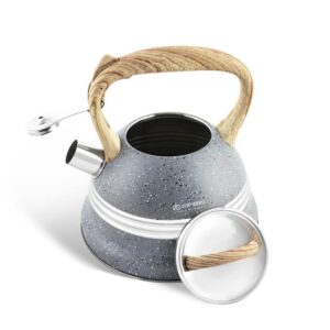 Чайник из нержавеющей стали со свистком 3 л Edenberg EB-8808 Gray