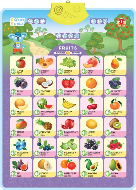 Audio poster interactive Smart Koala Fruit SKCIF3