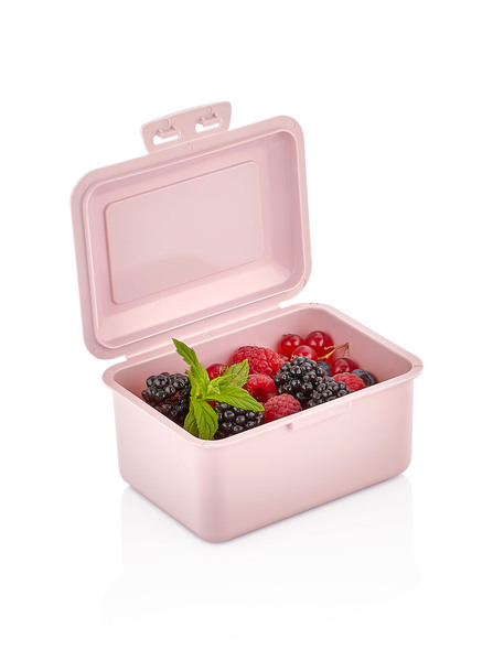 Lunch-boxing Mix 12x9x6 cm Qlux Junior L-00698