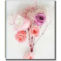 Альбом EVG 10x15x200 BKM46200 Bouquet rose