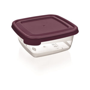 Харчової контейнер 0.9 л COOK&KEEP BG-620