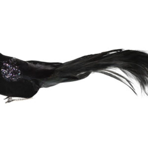 Decorative bird on клипсе 30см, Colour - the black BonaDi 499-080