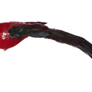 Decorative bird on клипсе 32см, Colour - Bordeaux from black BonaDi 499-085