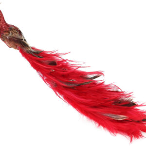 Decorative bird from клипсой Peacock, Colour - red, 42см BonaDi 743-353
