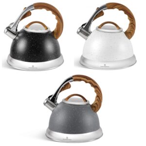 Edenberg 3 l stainless steel kettle with whistle EB-8852