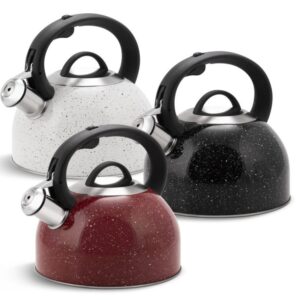 Kettle Edenberg 2.5l stainless steel EB-1440