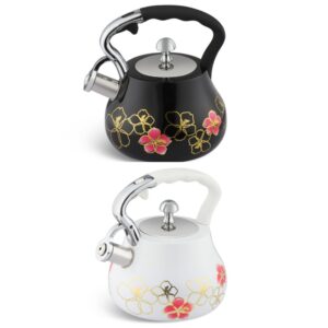 Stainless steel kettle with whistle 3 litres Edenberg EB-8842